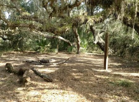 Oak Grove Primitive Campsites