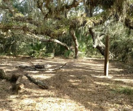 Oak Grove Primitive Campsites