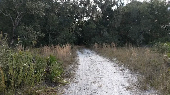 Oak Grove Primitive Campsites Picture 3