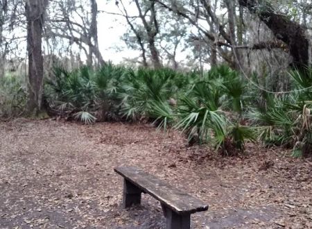 KICCO - Rattlesnake Hammock Campsite