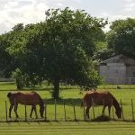 Lone Oak RV Park and Storage