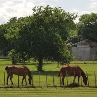 Lone Oak RV Park and Storage ico
