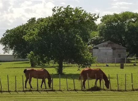 Lone Oak RV Park and Storage