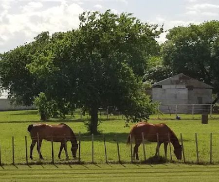 Lone Oak RV Park and Storage