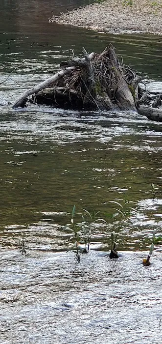MO State Campground Picture 8