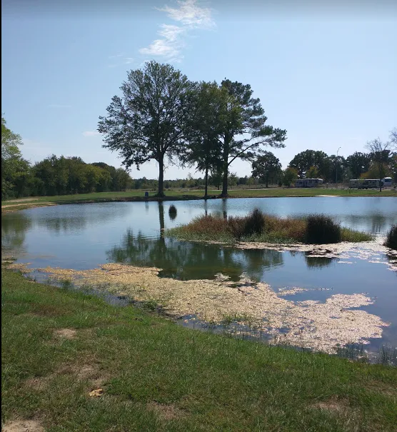 Tyler Oaks RV Resort Picture 3