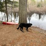 Bad River Wilderness Campsites