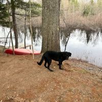Bad River Wilderness Campsites ico