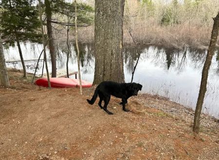 Bad River Wilderness Campsites