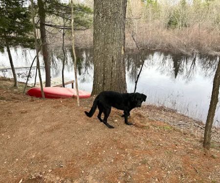 Bad River Wilderness Campsites