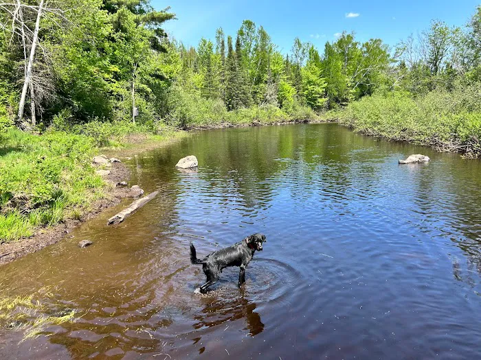 Bad River Wilderness Campsites Picture 2