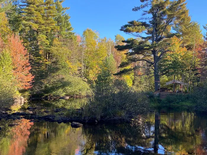 Bad River Wilderness Campsites Picture 6