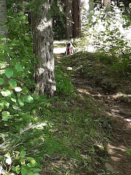 Beaver Lake Campground Picture 6