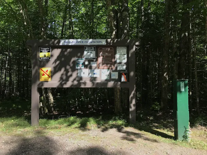 Beaver Lake Campground Picture 9