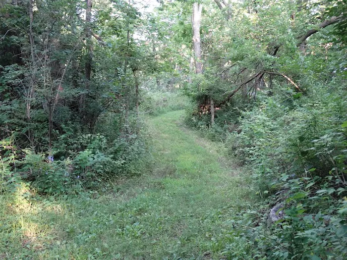 Timber Calls RV Campground Picture 6