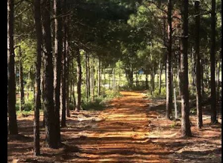Pine Springs RV Park