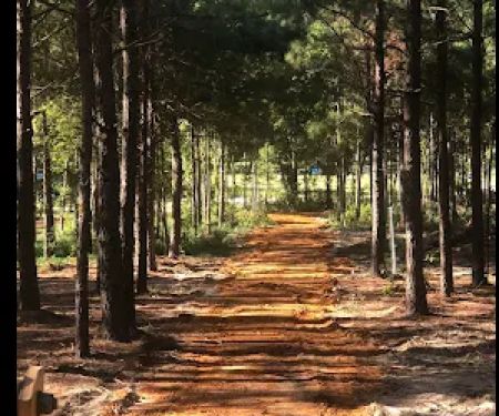 Pine Springs RV Park