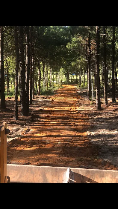 Pine Springs RV Park Picture 9