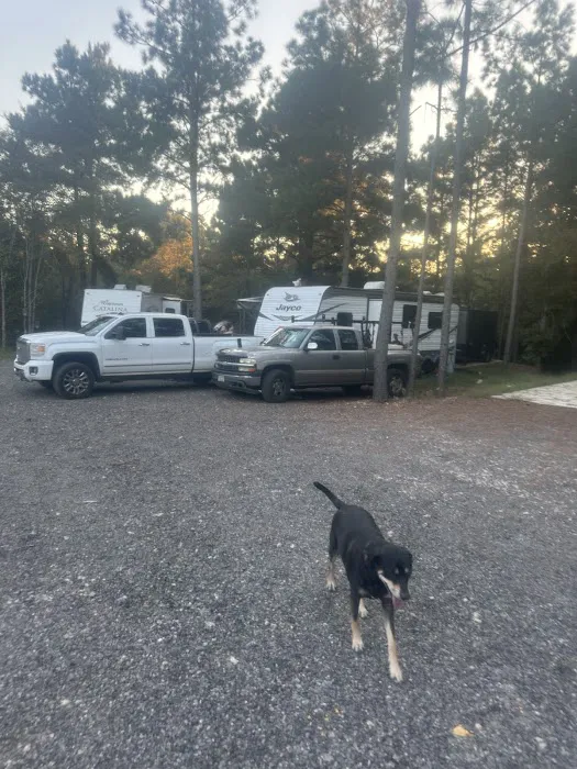 Blackberry Hill RV Park Picture 2