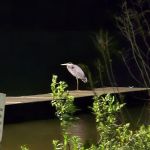 Hideaway RV park