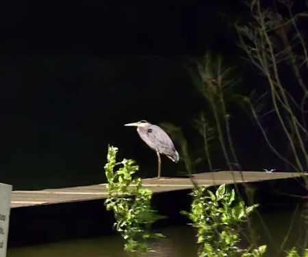 Hideaway RV park