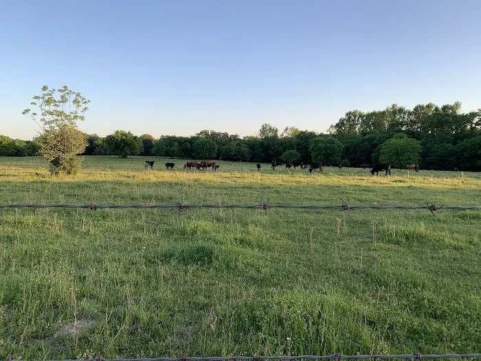 Caney Creek Station LLC Picture 8