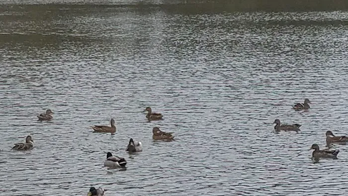 Cutty's Des Moines Camping Club Picture 1