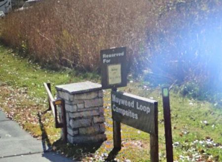Mayweed Loop