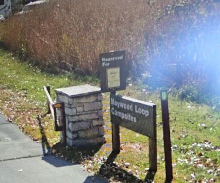 Mayweed Loop