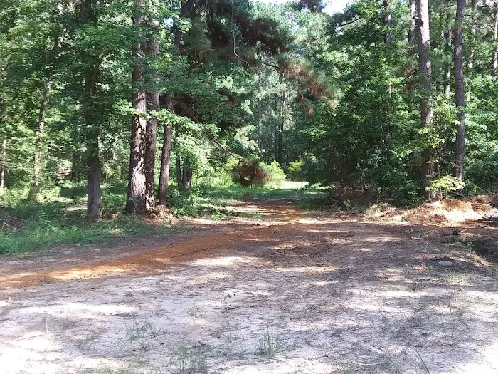 Buffalo Bayou RV Park Picture 8