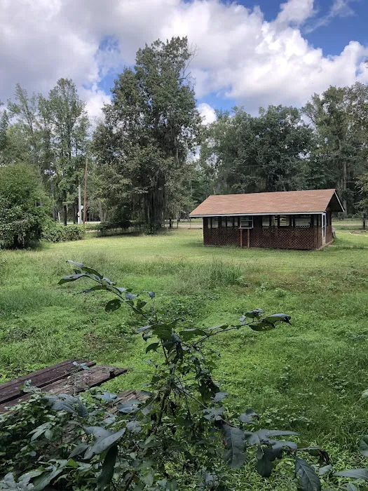 Caddo Lake Escape & RV Park Picture 1