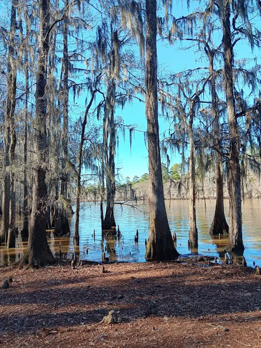 Tuckers Hunting and Fishing Camp Picture 6
