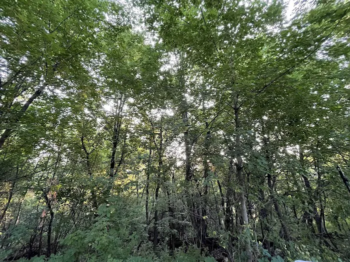 Lebanon Hills Campground Picture 8