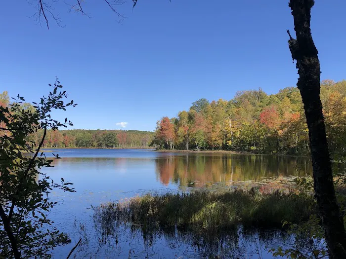 Audie Flowage-Perch Lake Campground Picture 8