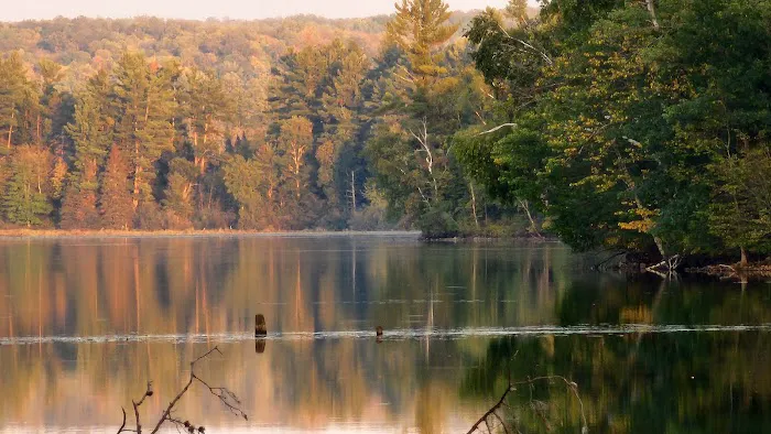 Murphy Flowage Campground Picture 4