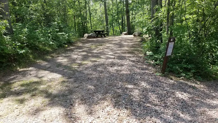 Murphy Flowage Campground Picture 6