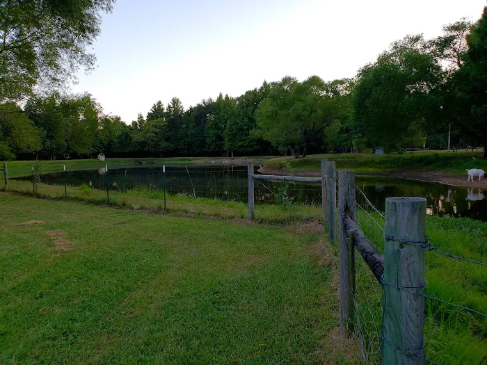 Marshall RV Park Picture 5