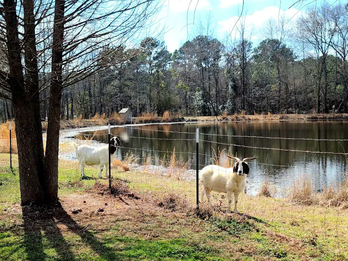 Marshall RV Park Picture 7