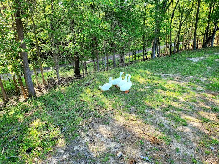 Marshall RV Park Picture 6