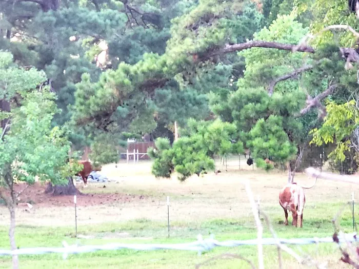 Marshall RV Park Picture 10
