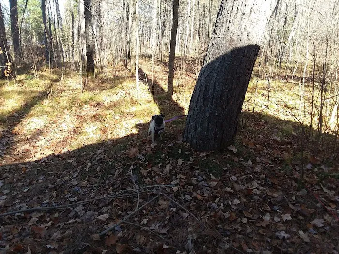 Black Lake Picture 2