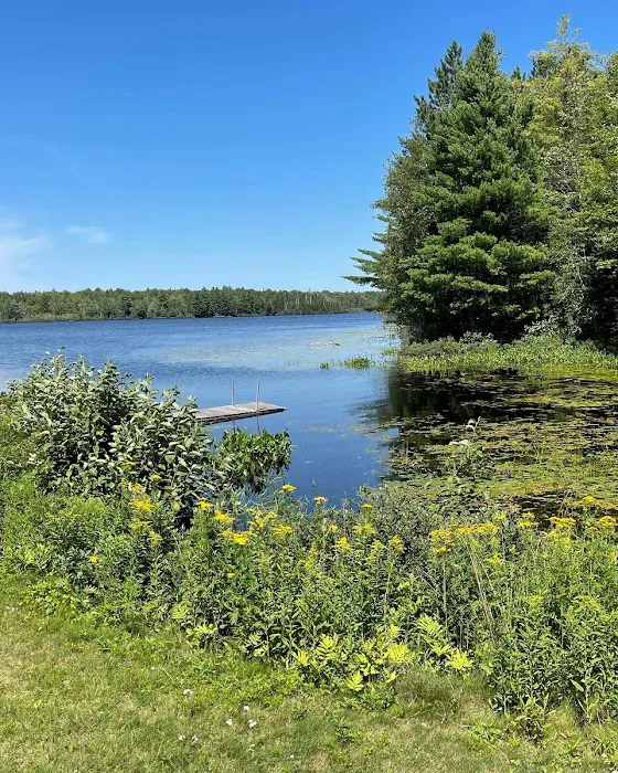 Black Lake Picture 7