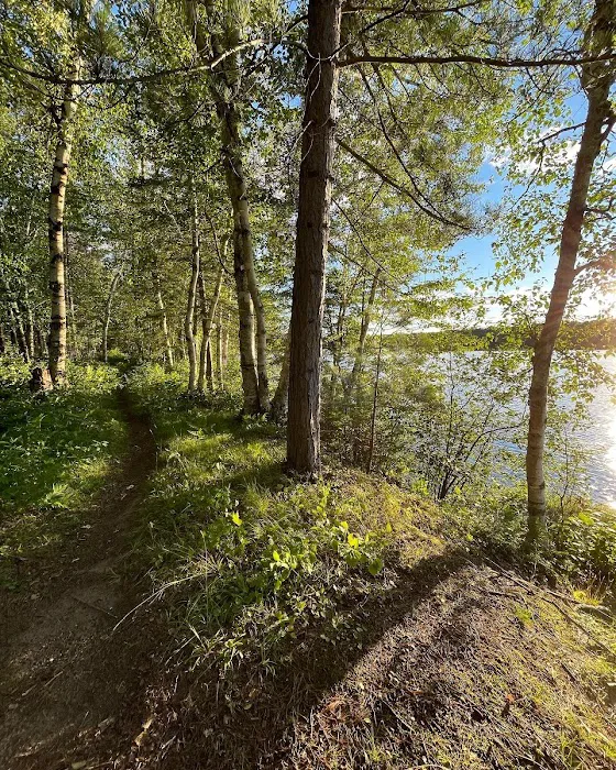 Black Lake Picture 9