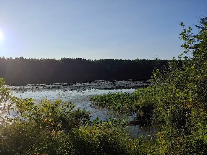 Black Lake Campground Picture 1