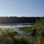 Black Lake Campground