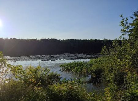 Black Lake Campground