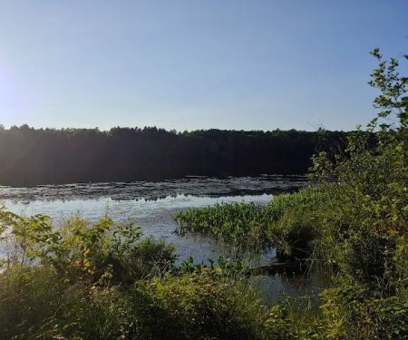 Black Lake Campground