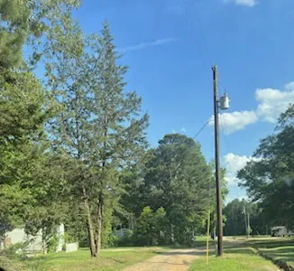 Marshall Woods RV Park Picture 2