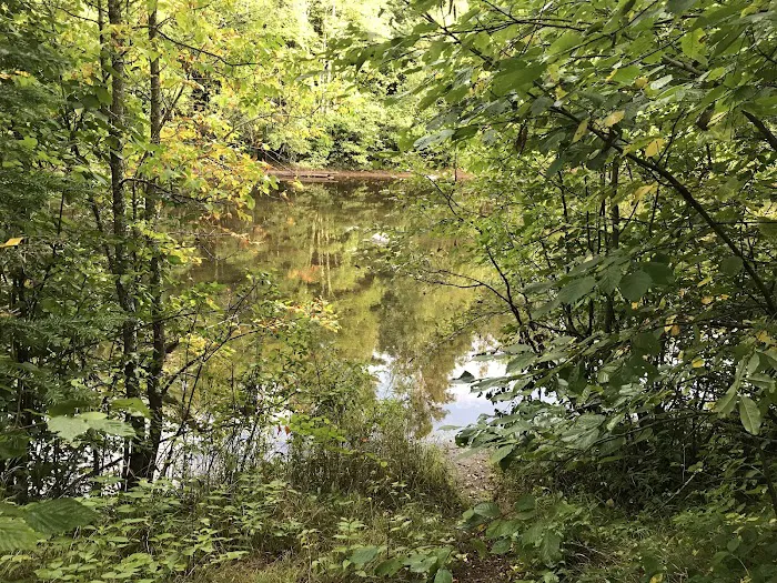 Stockfarm Bridge Campground Picture 6