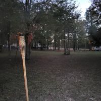 Pine Grove Park ico